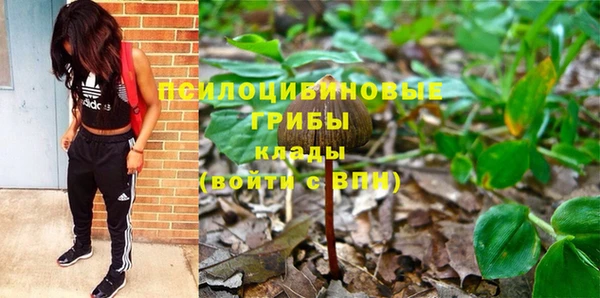 героин Алзамай