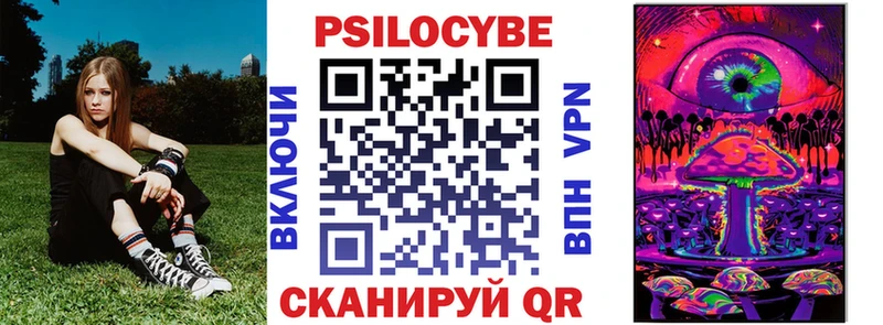 купить наркотик  маркетплейс клад  Галлюциногенные грибы Psilocybine cubensis  Богучар 
